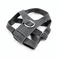 No-Pull Dog Harness, Magnetic Buckle