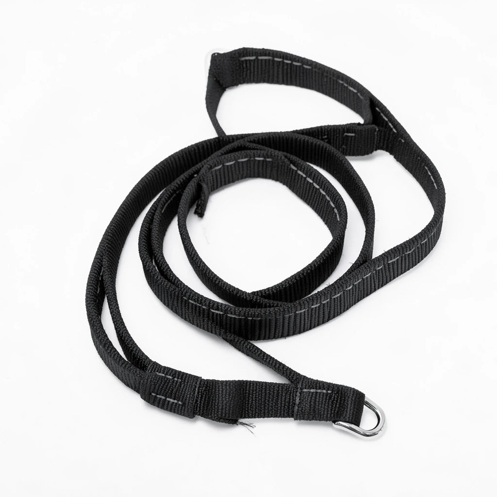 Dog Leash with Traffic Handle