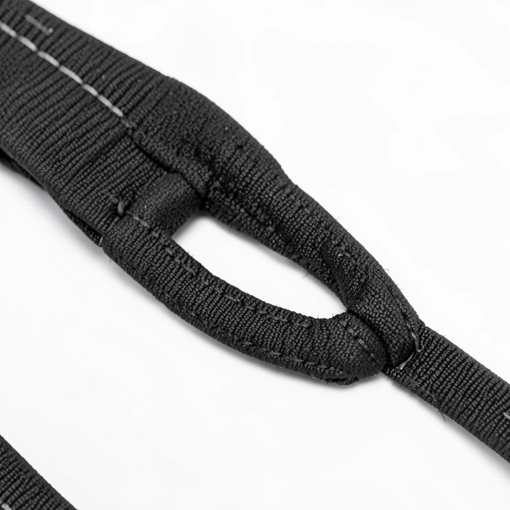 Dog Leash with Traffic Handle