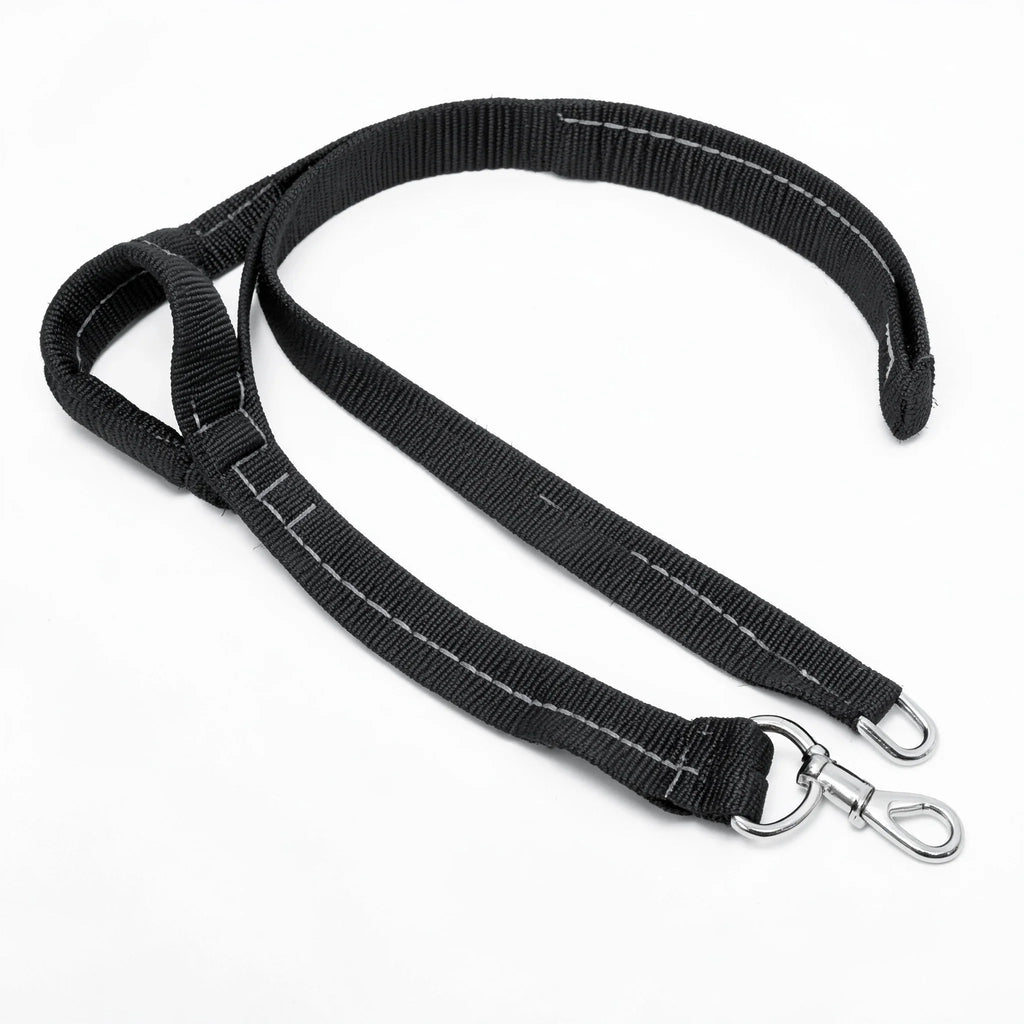 Dog Leash with Traffic Handle