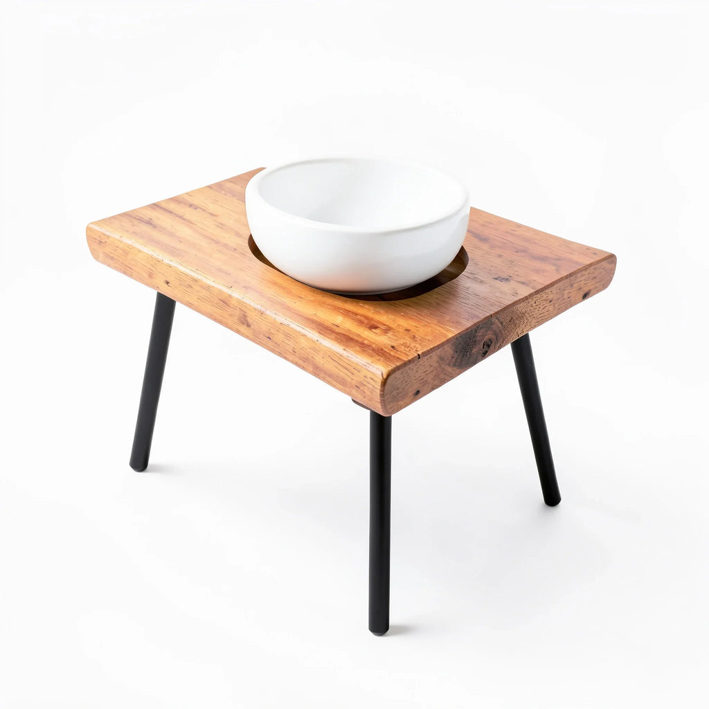 Tilted Single-Bowl Dog Feeder