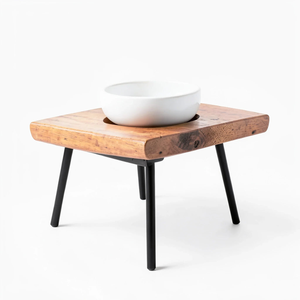 Tilted Single-Bowl Dog Feeder