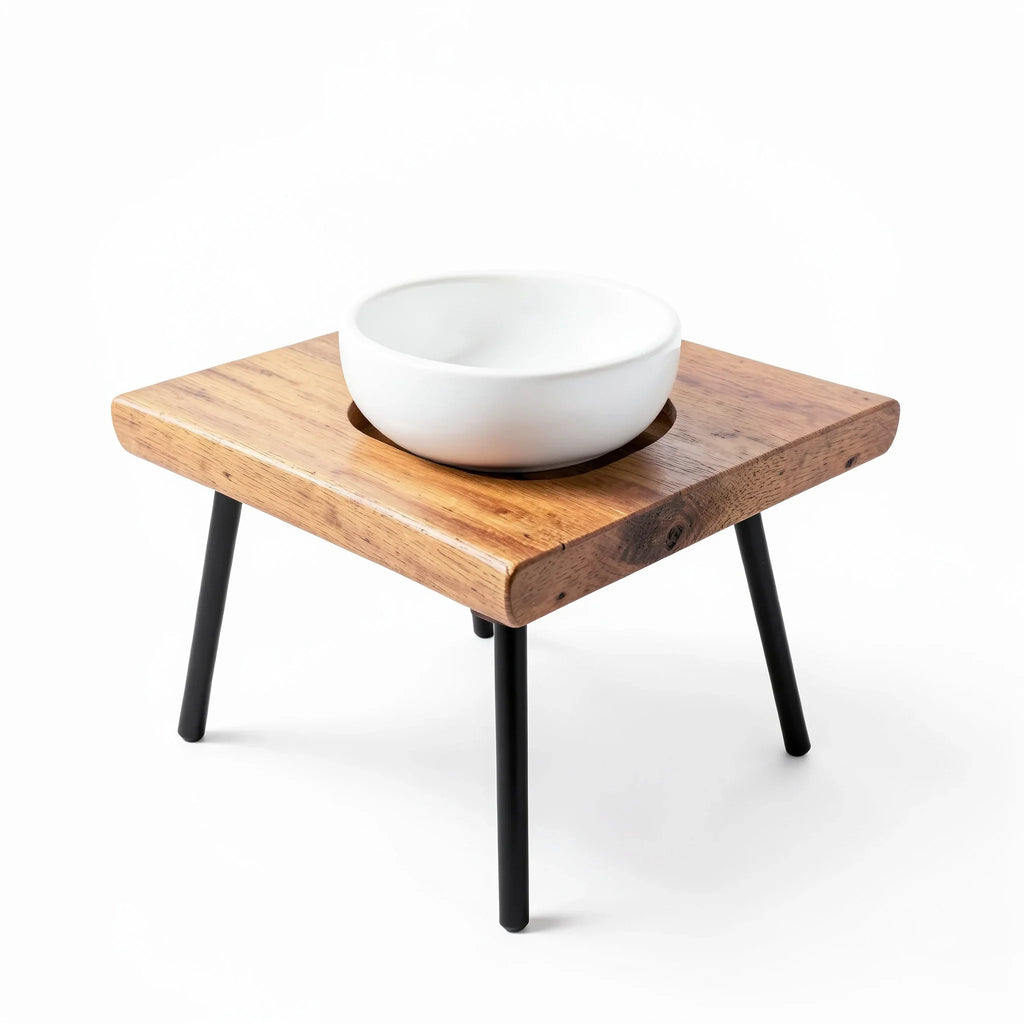 Tilted Single-Bowl Dog Feeder