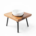 Tilted Single-Bowl Dog Feeder