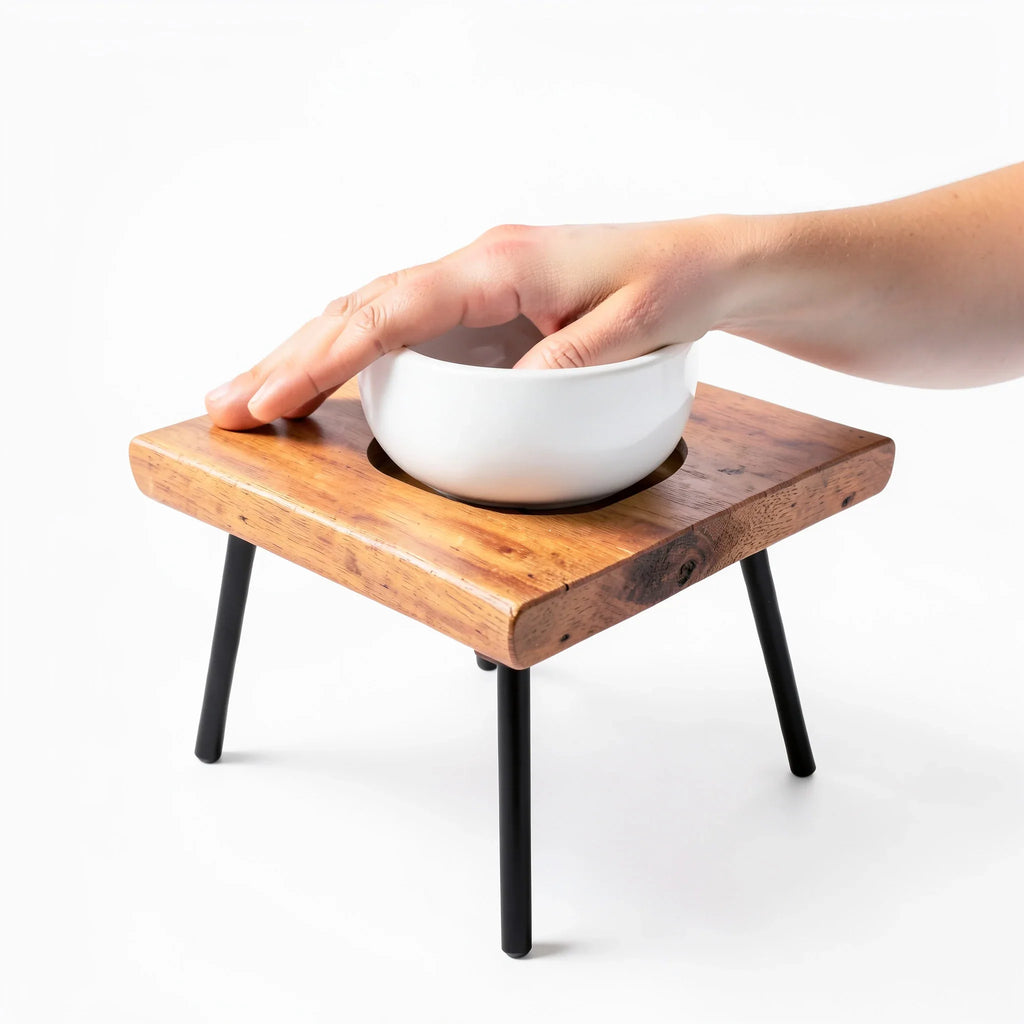 Tilted Single-Bowl Dog Feeder