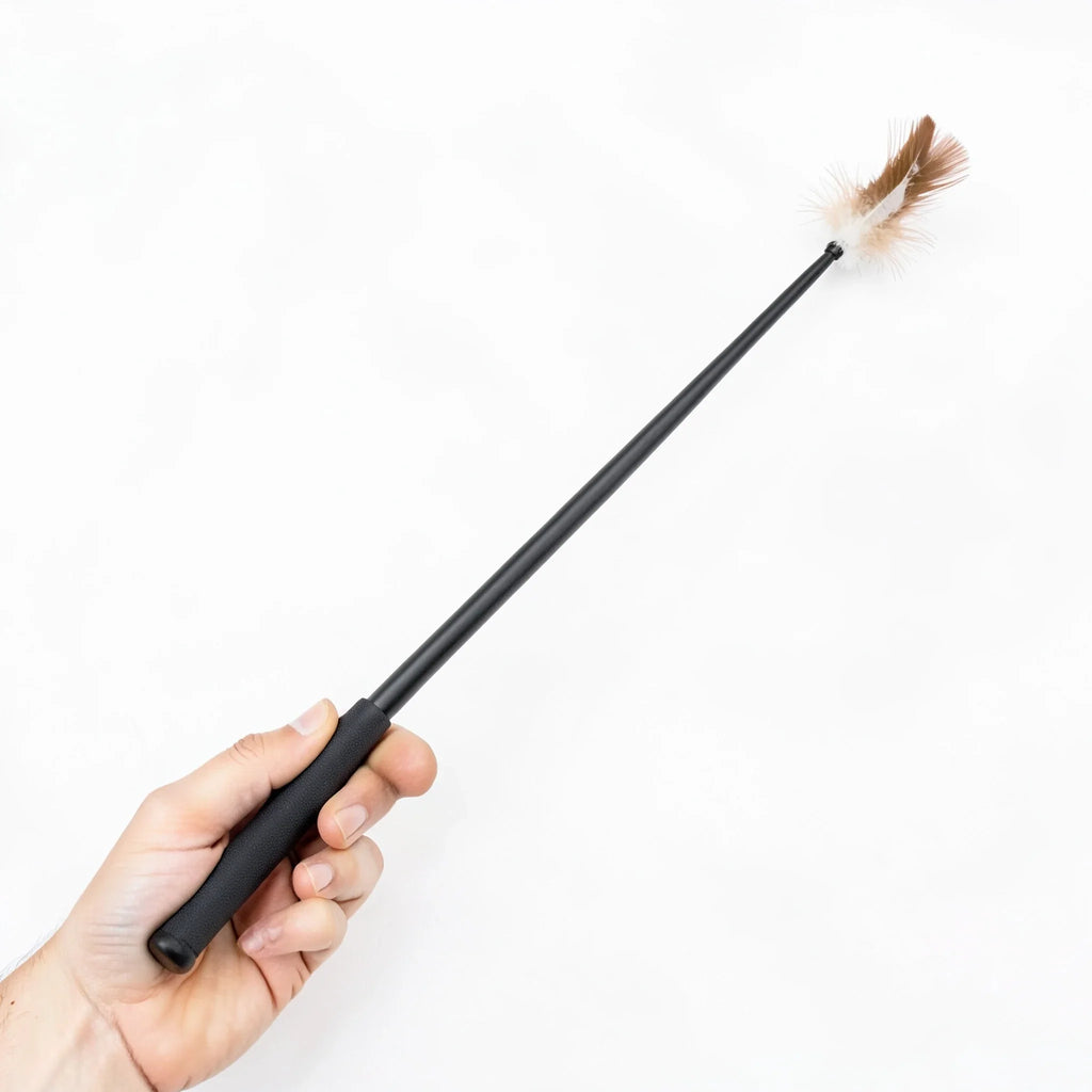 Retractable Cat Teaser Wand