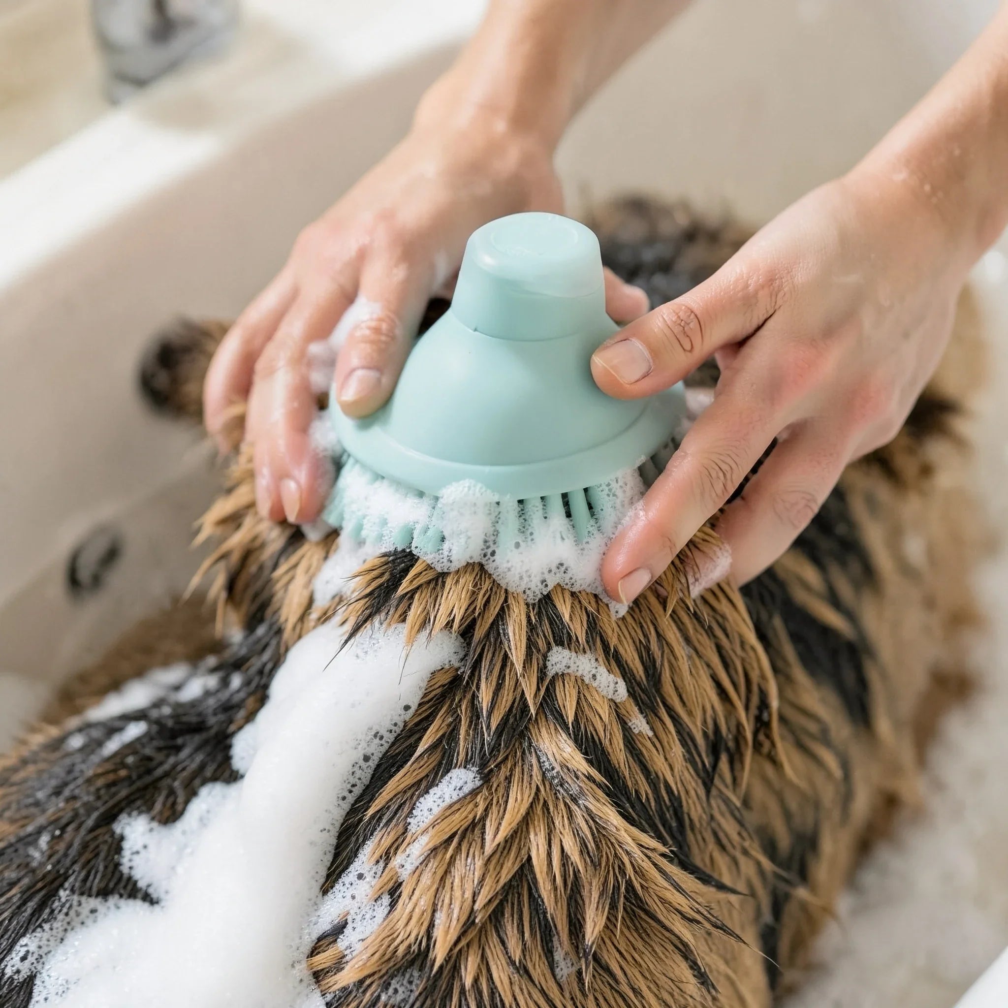 Bath Brush with Shampoo Reservoir